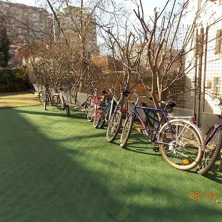 Miss Depolo 2* Belgrado